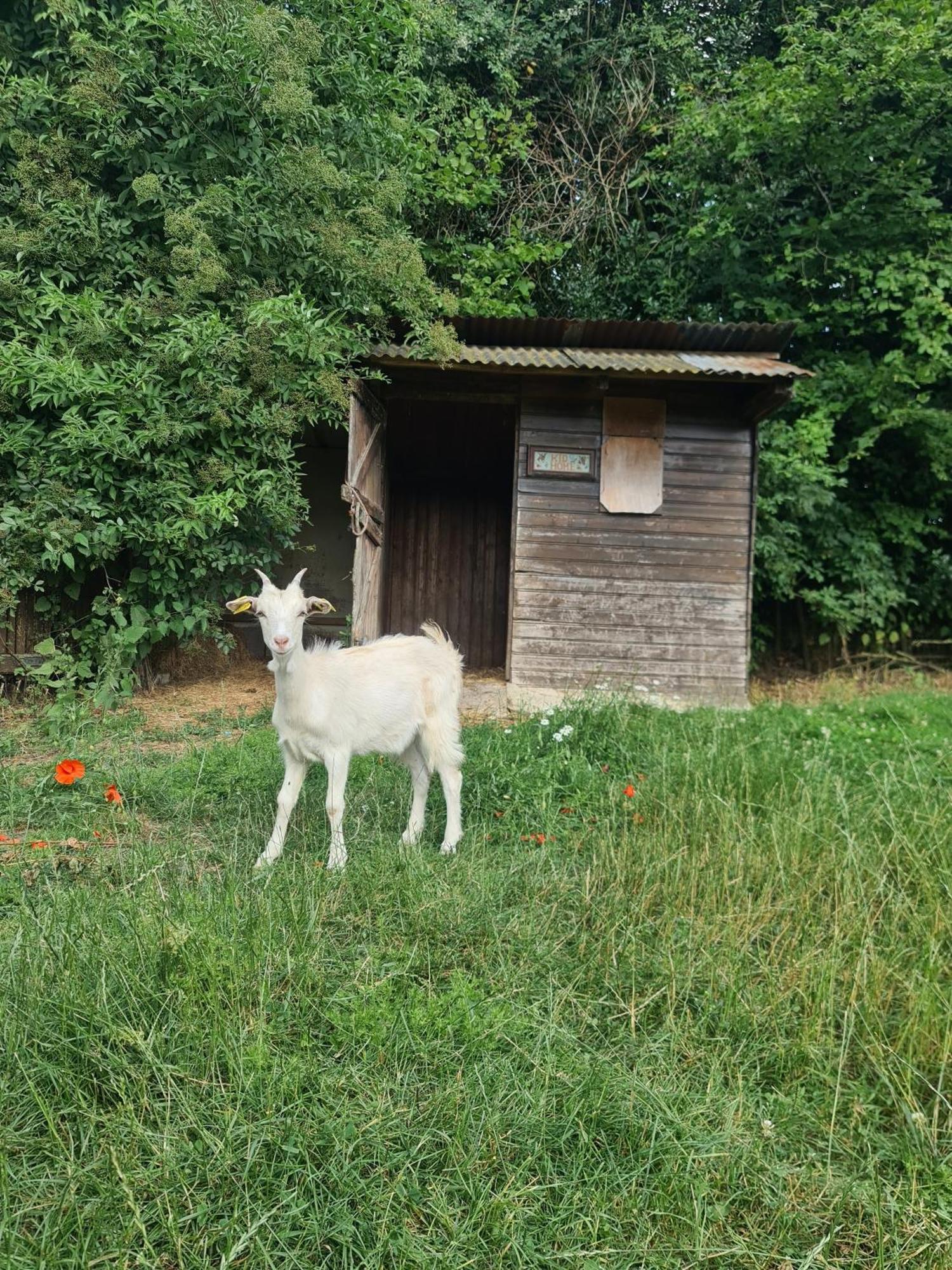 Chambre A La Ferme, Les Vergers Du Muscardin Breel Экстерьер фото